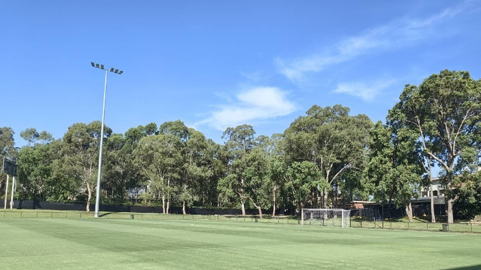 国足迎战世界杯新军库拉索 张玉宁担任队长点球